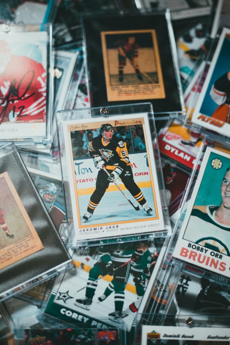 national hockey league