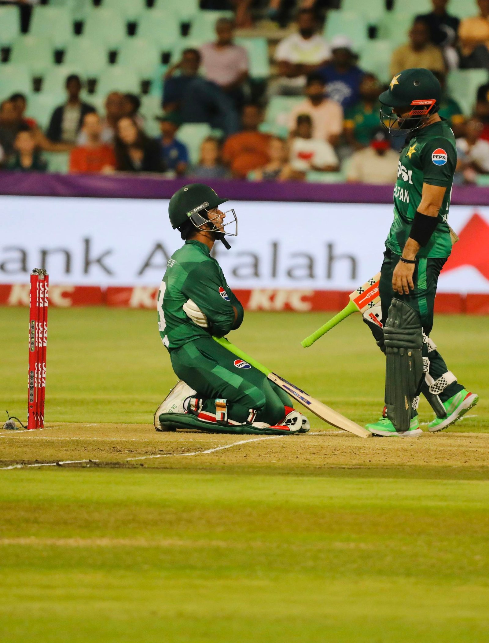 what is cricket